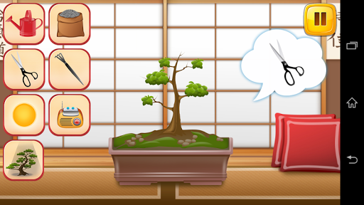 Bonsai Tree Care