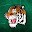 Tiger411 Download on Windows