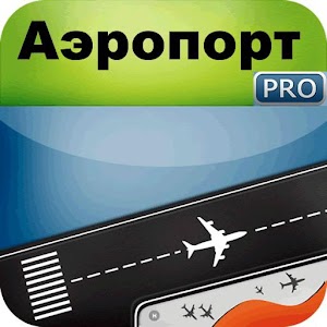 Airport Premium (Russia) logo