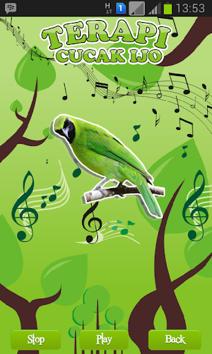 Greater Green Leafbird Therapy