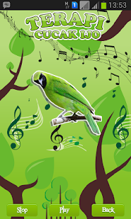 How to download Greater Green Leafbird Therapy 1.1 unlimited apk for laptop