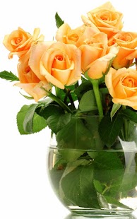 download Mawar Gambar Animasi free