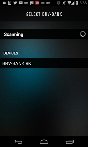 BRV-BANK Battery Monitor