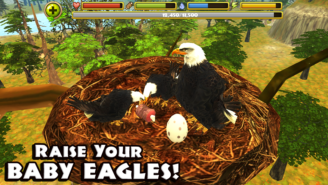 Eagle Simulator - screenshot