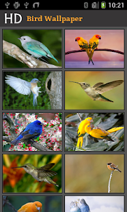 How to install HD Bird Wallpaper 1.0.0 mod apk for bluestacks