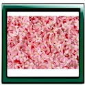 Flowers Beauty Photo Gallery logo