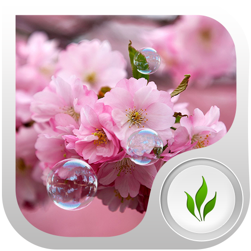 Sakura Live Wallpaper 個人化 App LOGO-APP開箱王