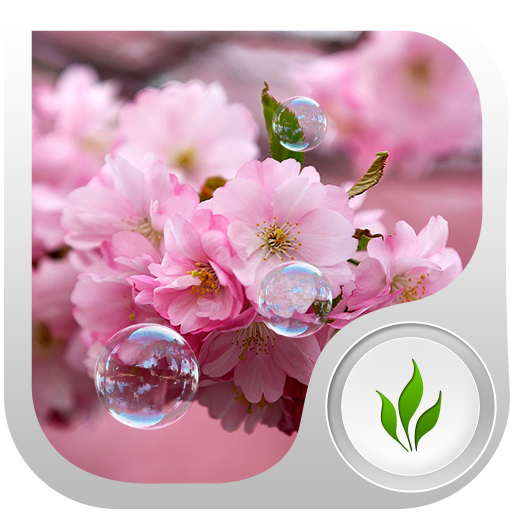 Sakura Live Wallpaper LOGO-APP點子