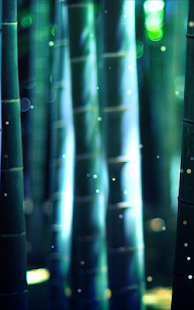 【免費娛樂App】Fireflies of bamboo forest-APP點子