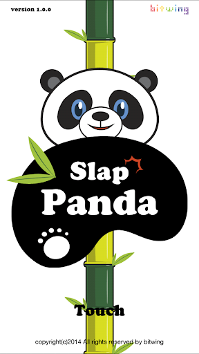 Slap Panda - kungfu training