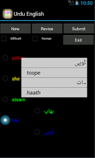 Urdu English Tutor