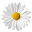 Does He Love Me Quiz Download on Windows