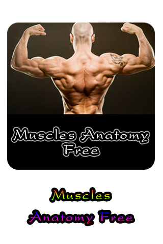 Muscles Anatomy Free