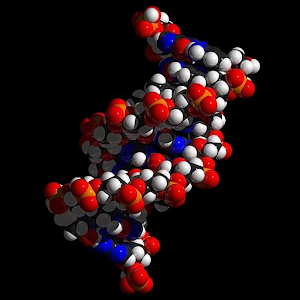 Human Gene Library.apk 4.0