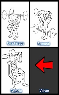 Guia ejercicios musculacion