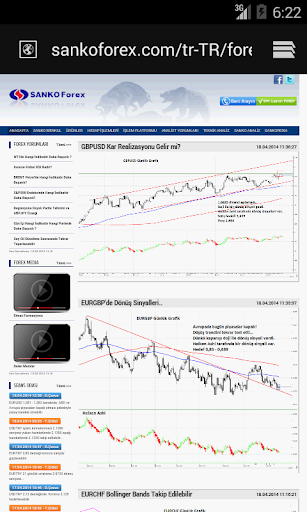 Sanko Forex