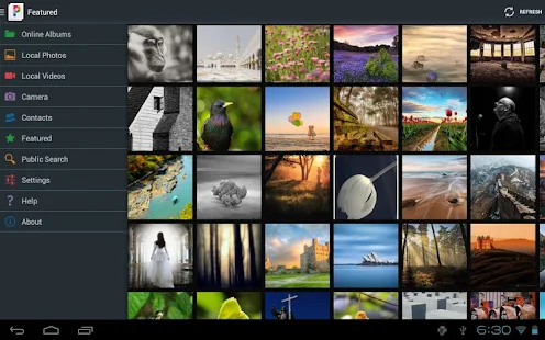 PicsPro pour Picasa - screenshot thumbnail