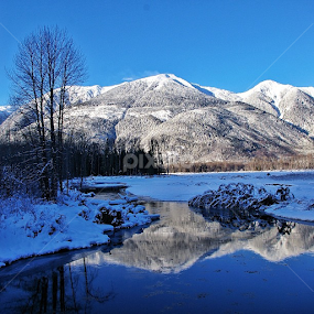 Skeena River, Terrace, B.C. by Todd Bellamy - Landscapes Mountains & Hills