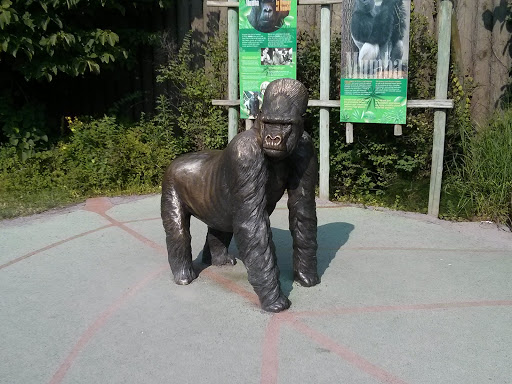 Le Gorille