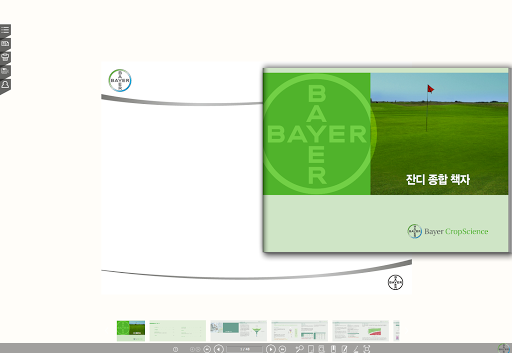 바이엘 잔디가이드