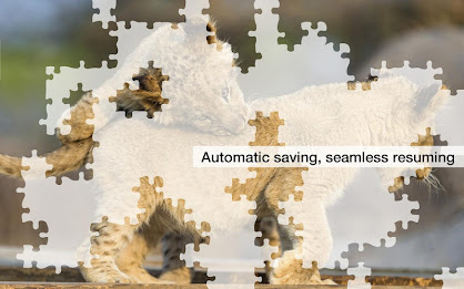 Big Cat Jigsaw Puzzles Demo poster 12