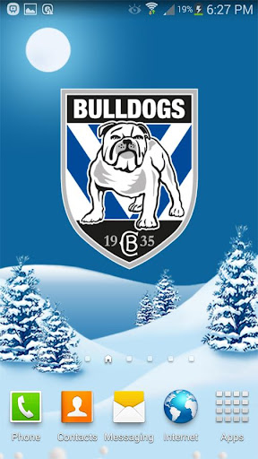 Canterbury Bulldogs Snow Globe