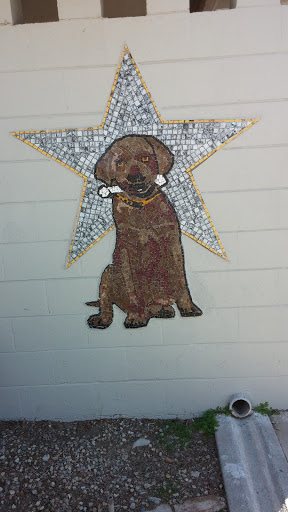 Dog Mural - Lancaster Animal Shelter