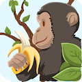 Primate Trivia Apk