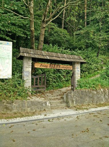 Leśny Park Zdrojowy