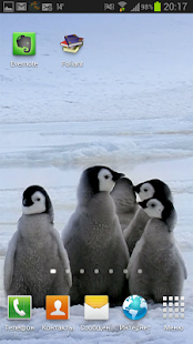 Arctic Penguins Live Wallpaper Screenshots 3
