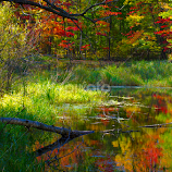 Small Pond with Fall Color by Gary Hanson -  