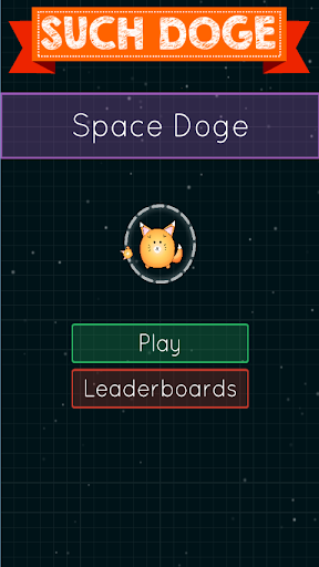 Space Doge Adventures