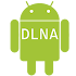 AnDLNA1.0