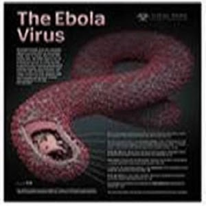 Ebola (Credits:WHO).apk 1.0