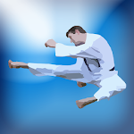 Cover Image of Herunterladen Karate Training 1.1 APK