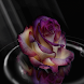 Rose Art Live Wallpaper
