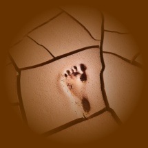 footprint3