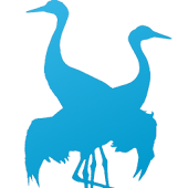 Free Quiz: Nordic Birds