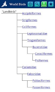 World Birds Demo Screenshots 7