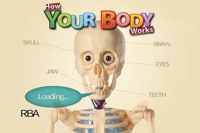 How Your Body Works UK poster 1