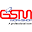 GSM Workshop Download on Windows