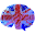 English: exercises and lessons Download on Windows