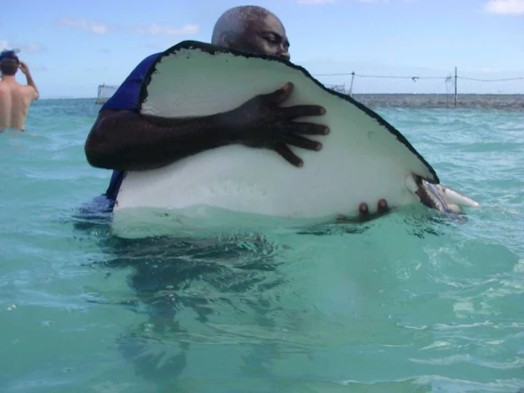 Hugging a stingray in Antigua. 