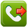 Call Forward icon