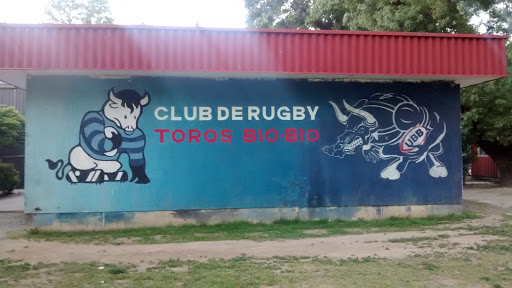 Toros Rugby Ubb