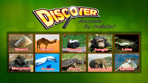Discover Animals