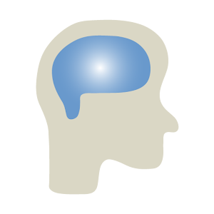 Critical Thinking Basic.apk 2.1.0.12