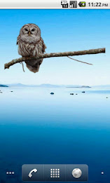 Owl on Branch Sticker poster 2