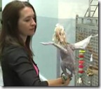 oscar the featherless parrot bird picture