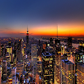 NYC Live – Traffic Transit logo
